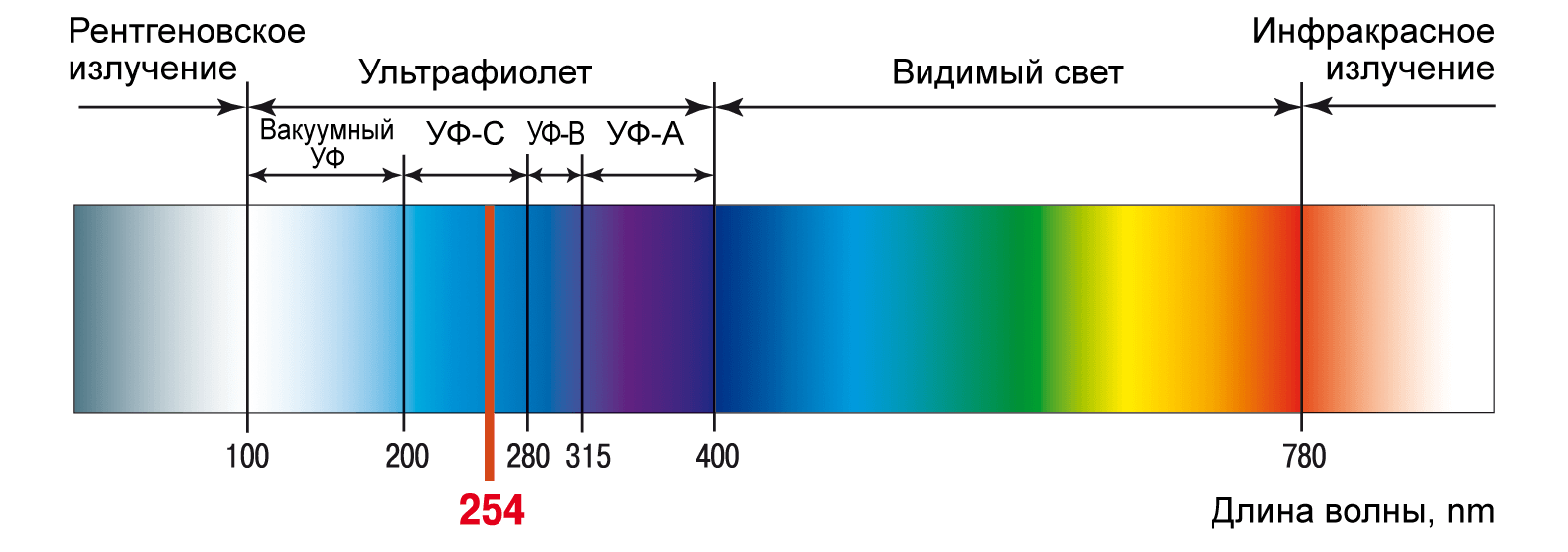 ТЕХНОЛОГИЯ УФ ОБЕЗЗАРАЖИВАНИЯ | My CMS